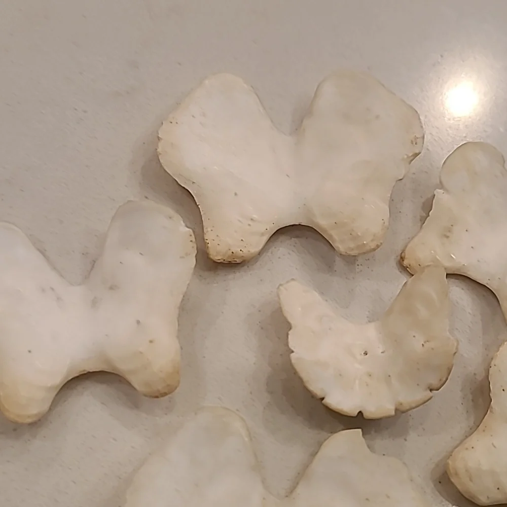Butterfly 🦋 Shaped Craft Shells